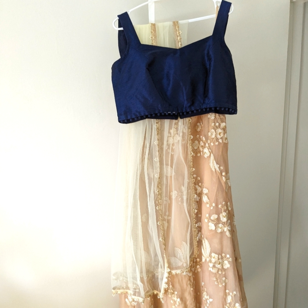 Beautiful Lehenga from The Saree Room - size XL
